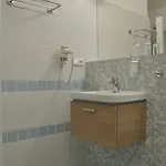 Grand Apartments Spindleruv Mlyn 4* Špindlerŭv Mlýn